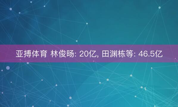 亚搏体育 林俊旸: 20亿， 田渊栋等: 46.5亿