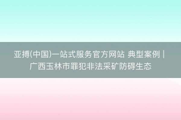 亚搏(中国)一站式服务官方网站 典型案例 | 广西玉林市罪犯非法采矿防碍生态