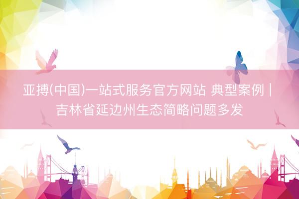 亚搏(中国)一站式服务官方网站 典型案例 | 吉林省延边州生态简略问题多发
