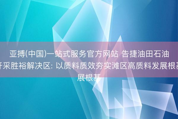 亚搏(中国)一站式服务官方网站 告捷油田石油开采胜裕解决区: 以质料质效夯实滩区高质料发展根基