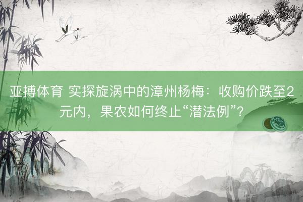 亚搏体育 实探旋涡中的漳州杨梅：收购价跌至2元内，果农如何终止“潜法例”？