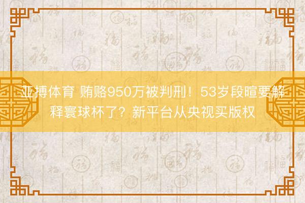 亚搏体育 贿赂950万被判刑！53岁段暄要解释寰球杯了？新平台从央视买版权