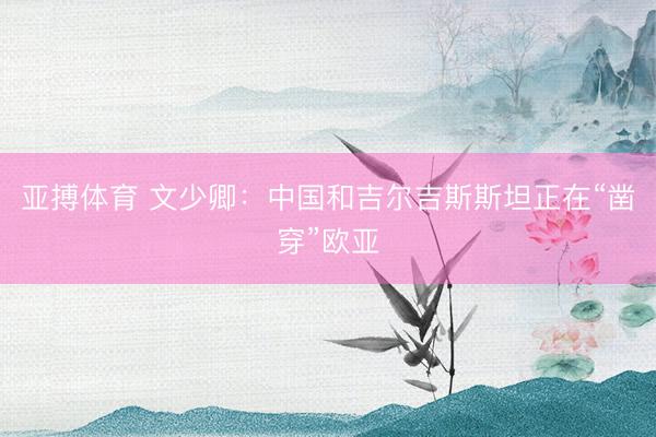 亚搏体育 文少卿：中国和吉尔吉斯斯坦正在“凿穿”欧亚