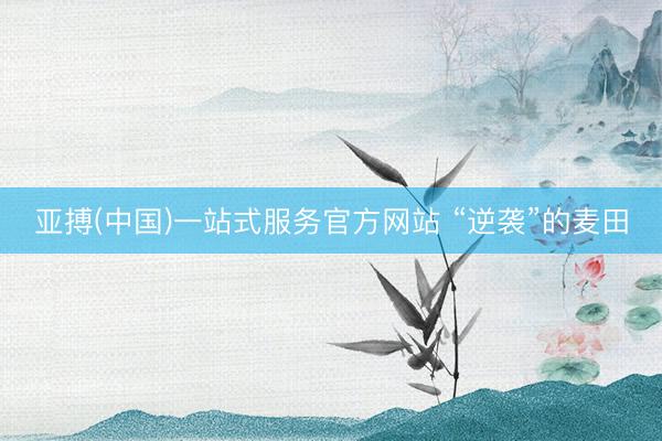 亚搏(中国)一站式服务官方网站 “逆袭”的麦田